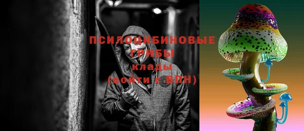 ПСИЛОЦИБИНОВЫЕ ГРИБЫ Алзамай
